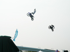 FMX